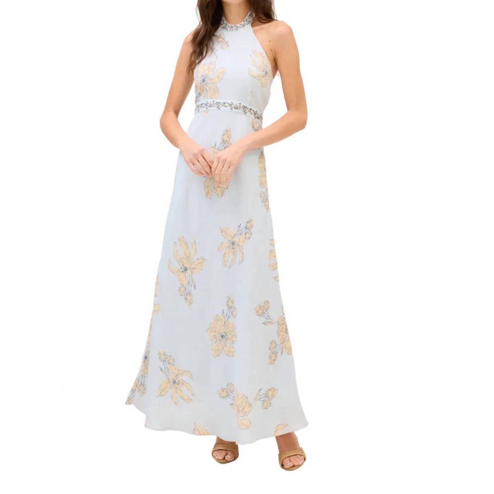 NEW ALLISON riley maxi dress in pale blue floral
